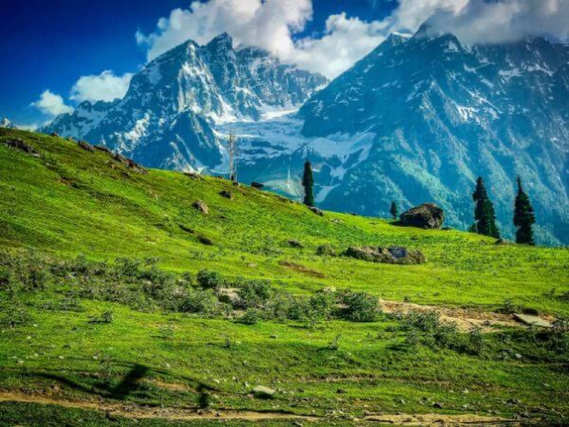 Sonamarg meadows below snow peaks